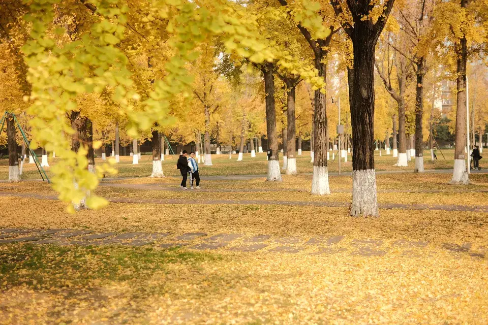 About Strathmore, CA: Your Local Community — Strathmore, AB